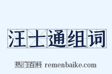 汪士通组词是什么意思的图片